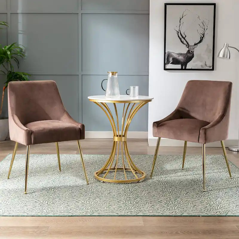 Contemporary Velvet Upholstered Accent Chair (Set of 2)