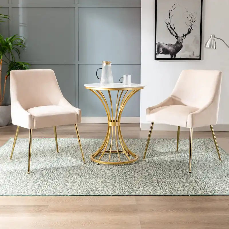 Contemporary Velvet Upholstered Accent Chair (Set of 2)