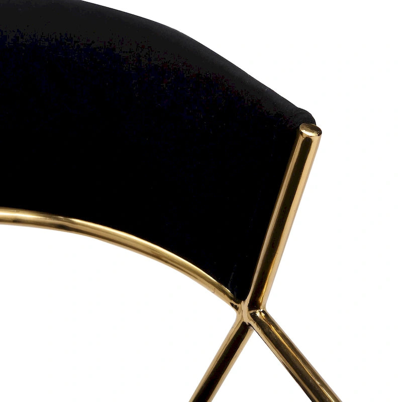 Gold Upholstered Dining Chair (Set of 2)